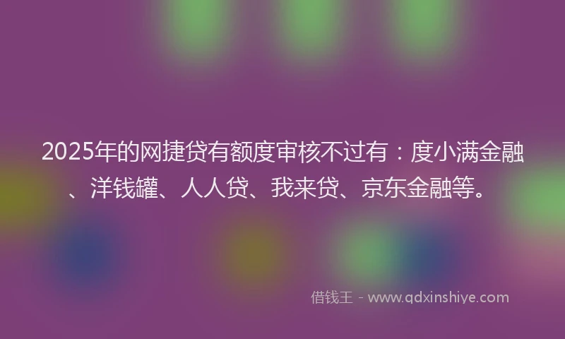 2025年的网捷贷有额度审核不过有：度小满金融、洋钱罐、人人贷、我来贷、京东金融等。