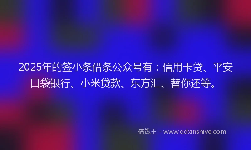 2025年的签小条借条公众号有：信用卡贷、平安口袋银行、小米贷款、东方汇、替你还等。