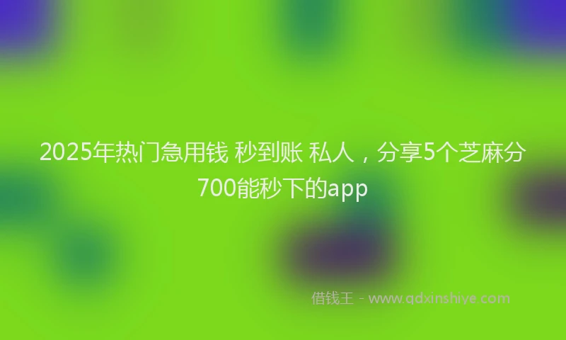 2025年热门急用钱 秒到账 私人，分享5个芝麻分700能秒下的app