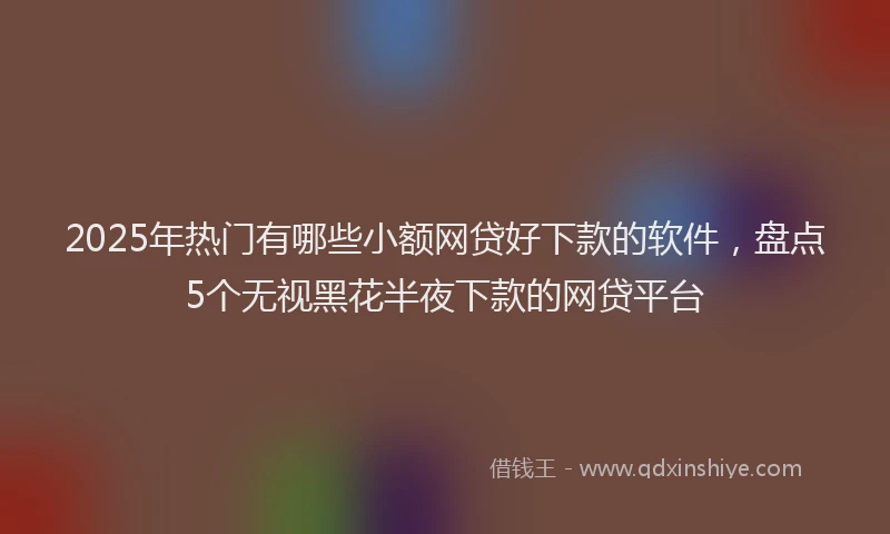 2025年热门有哪些小额网贷好下款的软件，盘点5个无视黑花半夜下款的网贷平台