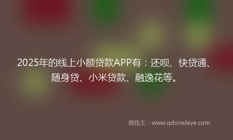 2025年的线上小额贷款APP有：还呗、快贷通、随身贷、小米贷款、融逸花等。