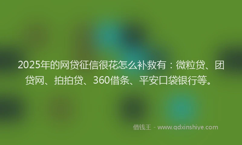 2025年的网贷征信很花怎么补救有：微粒贷、团贷网、拍拍贷、360借条、平安口袋银行等。