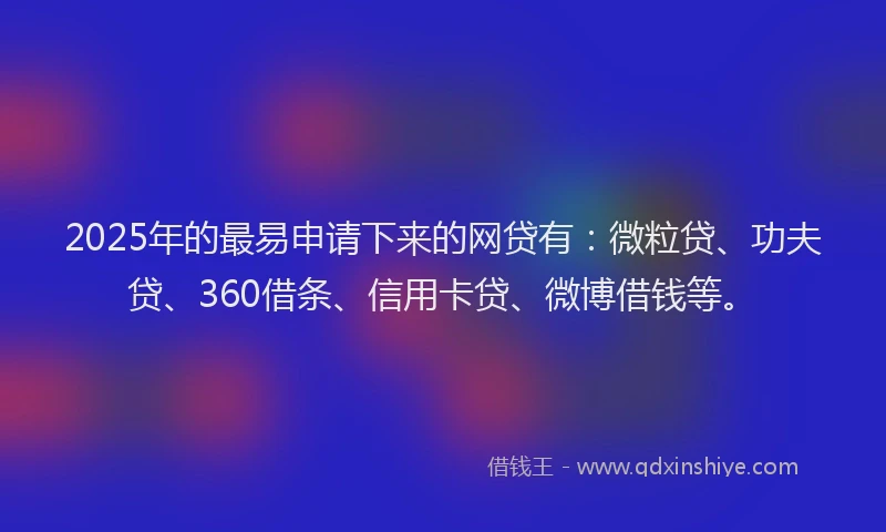 2025年的最易申请下来的网贷有：微粒贷、功夫贷、360借条、信用卡贷、微博借钱等。