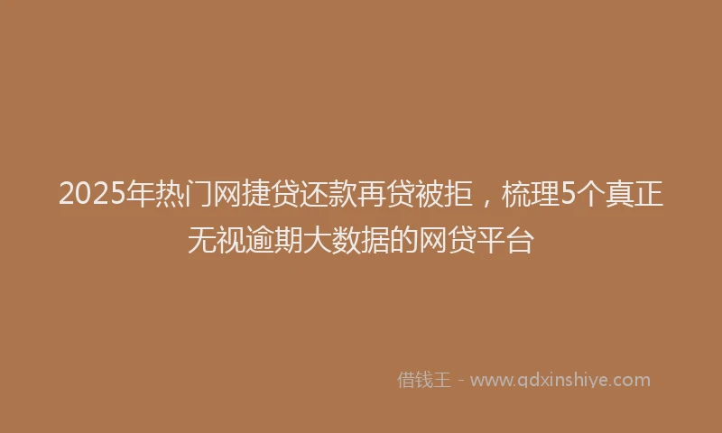 2025年热门网捷贷还款再贷被拒，梳理5个真正无视逾期大数据的网贷平台