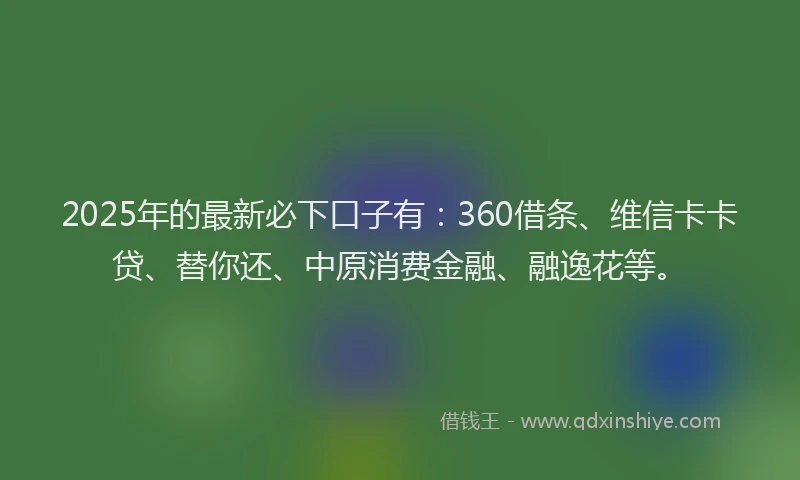 2025年的最新必下口子有：360借条、维信卡卡贷、替你还、中原消费金融、融逸花等。