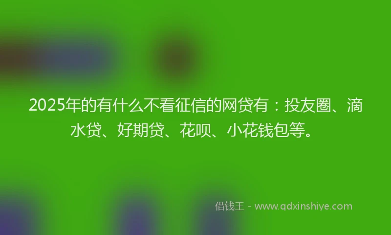 2025年的有什么不看征信的网贷有：投友圈、滴水贷、好期贷、花呗、小花钱包等。