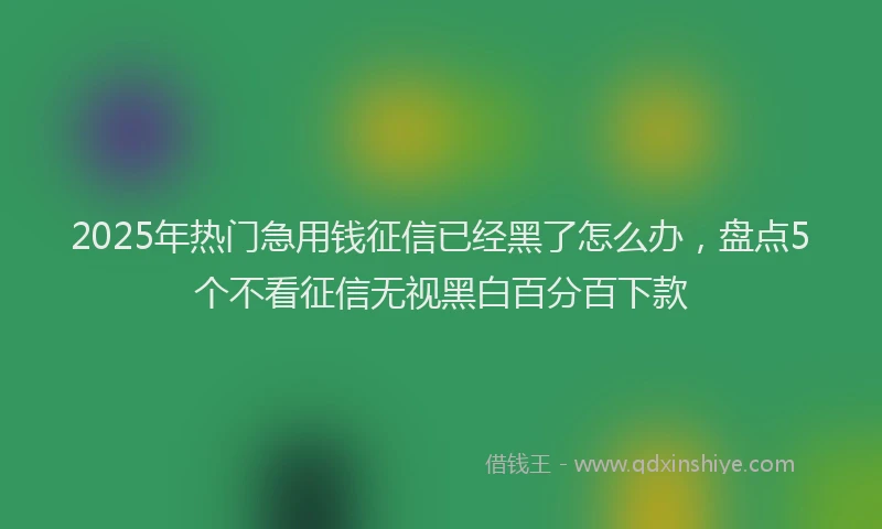 2025年热门急用钱征信已经黑了怎么办，盘点5个不看征信无视黑白百分百下款
