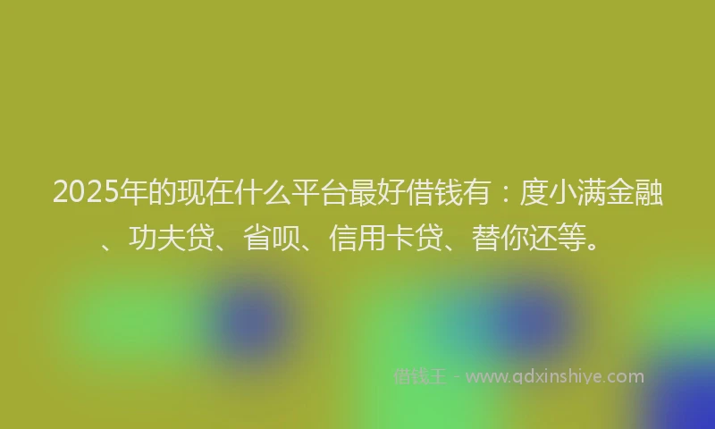 2025年的现在什么平台最好借钱有：度小满金融、功夫贷、省呗、信用卡贷、替你还等。