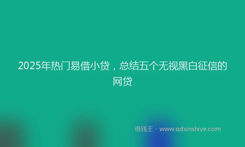 2025年热门易借小贷，总结五个无视黑白征信的网贷