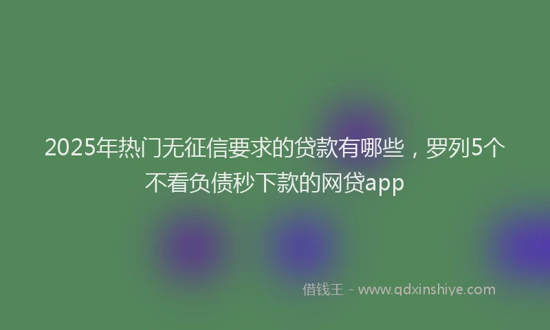 2025年热门无征信要求的贷款有哪些，罗列5个不看负债秒下款的网贷app