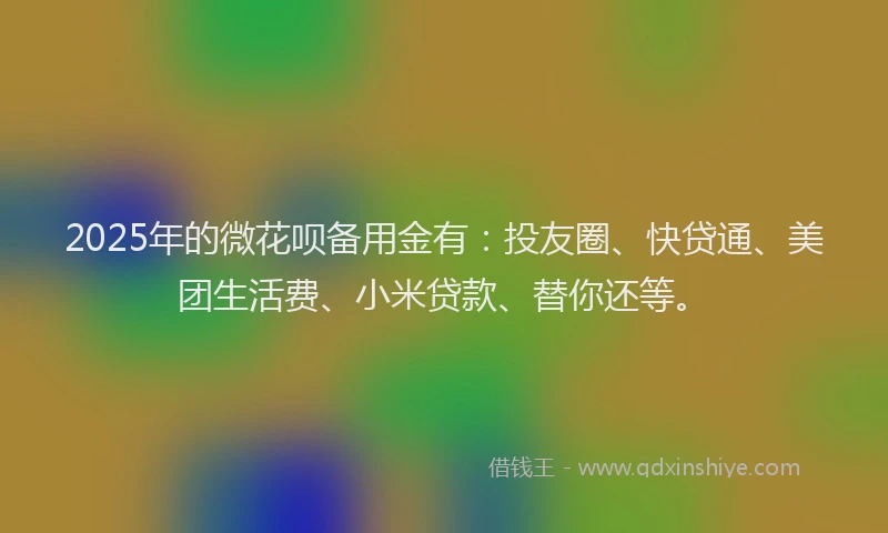 2025年的微花呗备用金有：投友圈、快贷通、美团生活费、小米贷款、替你还等。
