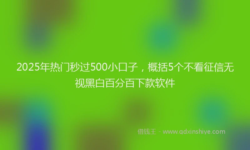 2025年热门秒过500小口子，概括5个不看征信无视黑白百分百下款软件