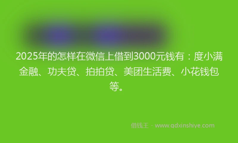 2025年的怎样在微信上借到3000元钱有：度小满金融、功夫贷、拍拍贷、美团生活费、小花钱包等。