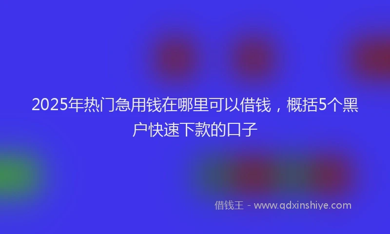 2025年热门急用钱在哪里可以借钱，概括5个黑户快速下款的口子