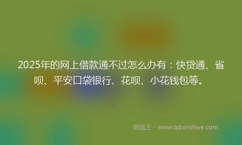 2025年的网上借款通不过怎么办有：快贷通、省呗、平安口袋银行、花呗、小花钱包等。