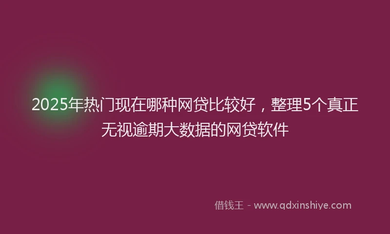 2025年热门现在哪种网贷比较好，整理5个真正无视逾期大数据的网贷软件