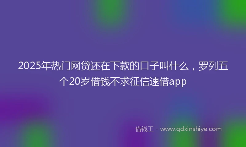 2025年热门网贷还在下款的口子叫什么，罗列五个20岁借钱不求征信速借app