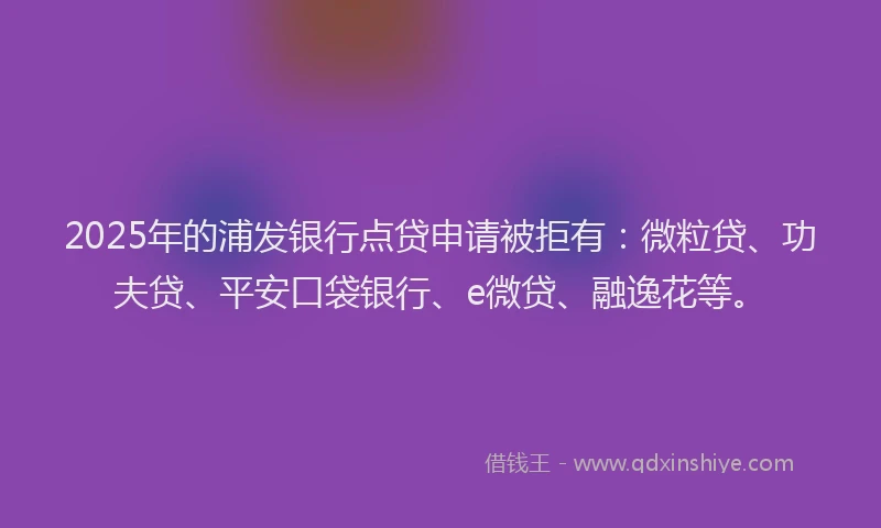 2025年的浦发银行点贷申请被拒有：微粒贷、功夫贷、平安口袋银行、e微贷、融逸花等。