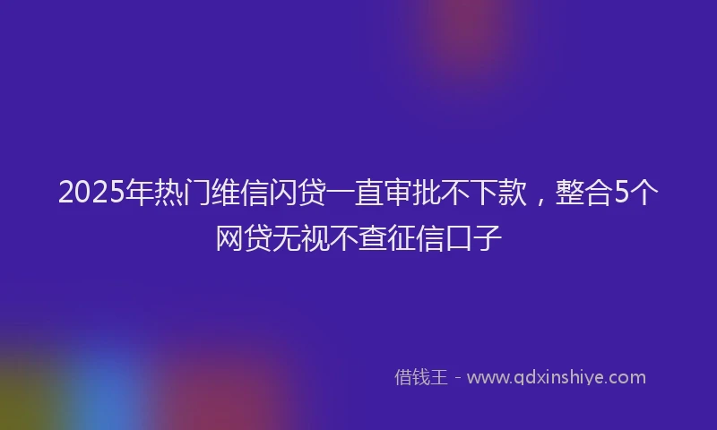 2025年热门维信闪贷一直审批不下款，整合5个网贷无视不查征信口子
