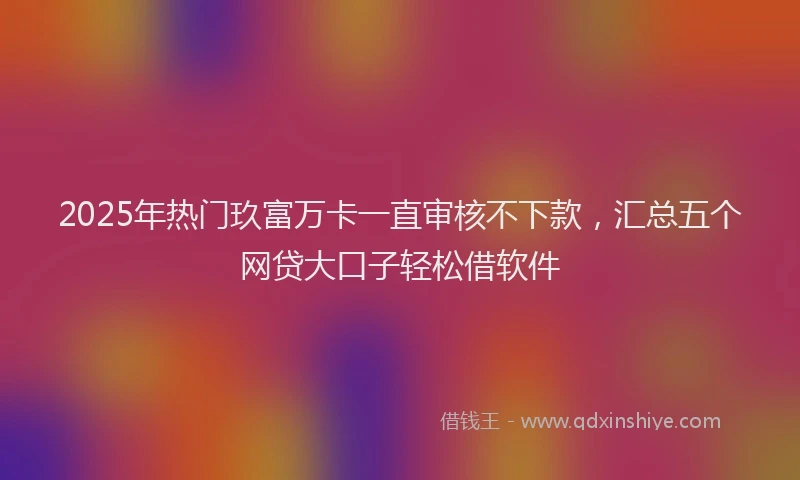 2025年热门玖富万卡一直审核不下款，汇总五个网贷大口子轻松借软件