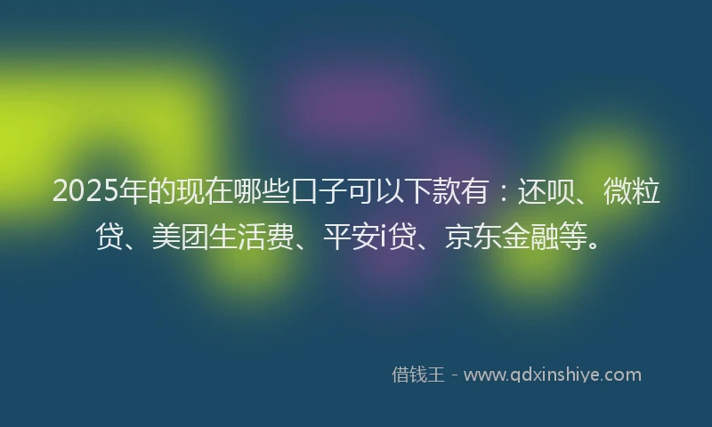 2025年的现在哪些口子可以下款有：还呗、微粒贷、美团生活费、平安i贷、京东金融等。