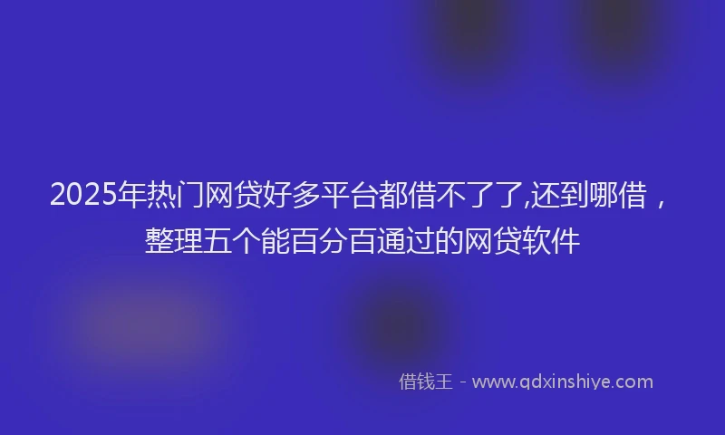 2025年热门网贷好多平台都借不了了,还到哪借，整理五个能百分百通过的网贷软件