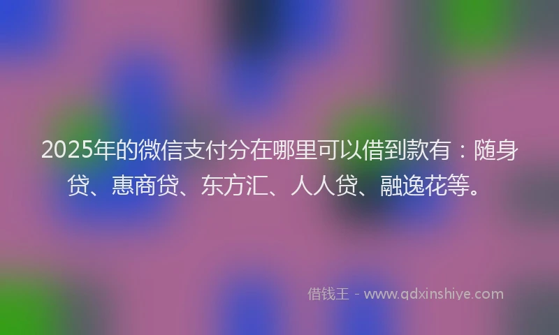 2025年的微信支付分在哪里可以借到款有：随身贷、惠商贷、东方汇、人人贷、融逸花等。