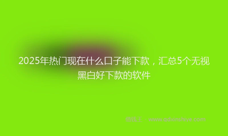 2025年热门现在什么口子能下款，汇总5个无视黑白好下款的软件