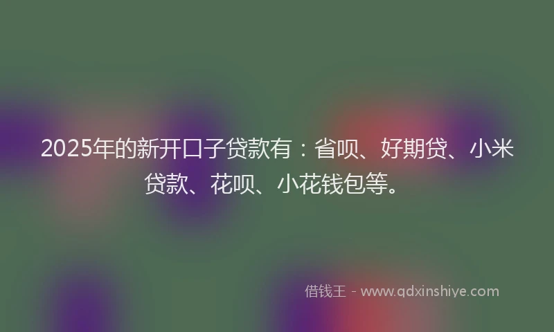 2025年的新开口子贷款有：省呗、好期贷、小米贷款、花呗、小花钱包等。