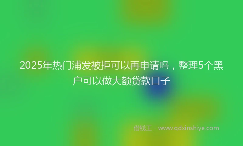 2025年热门浦发被拒可以再申请吗，整理5个黑户可以做大额贷款口子
