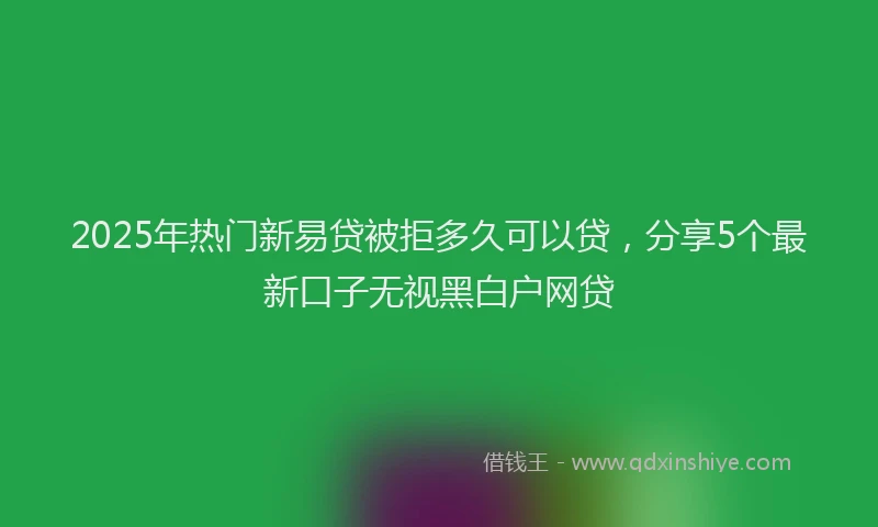 2025年热门新易贷被拒多久可以贷，分享5个最新口子无视黑白户网贷