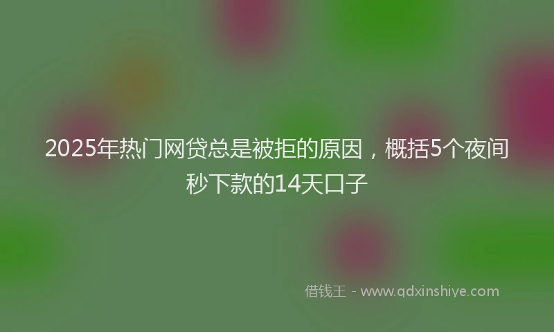 2025年热门网贷总是被拒的原因，概括5个夜间秒下款的14天口子