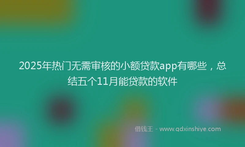 2025年热门无需审核的小额贷款app有哪些，总结五个11月能贷款的软件