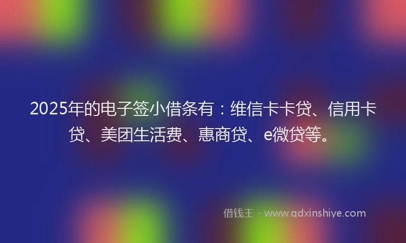 2025年的电子签小借条有：维信卡卡贷、信用卡贷、美团生活费、惠商贷、e微贷等。