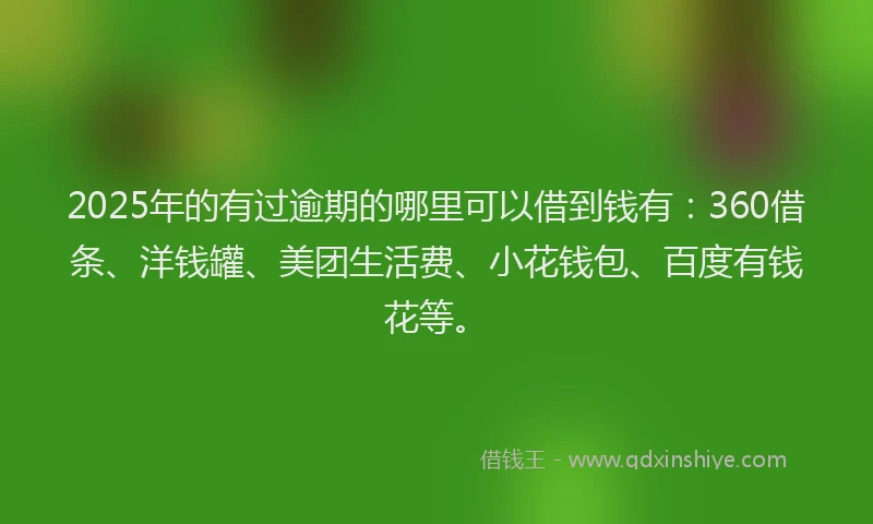 2025年的有过逾期的哪里可以借到钱有：360借条、洋钱罐、美团生活费、小花钱包、百度有钱花等。