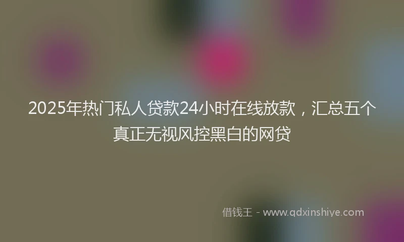 2025年热门私人贷款24小时在线放款，汇总五个真正无视风控黑白的网贷
