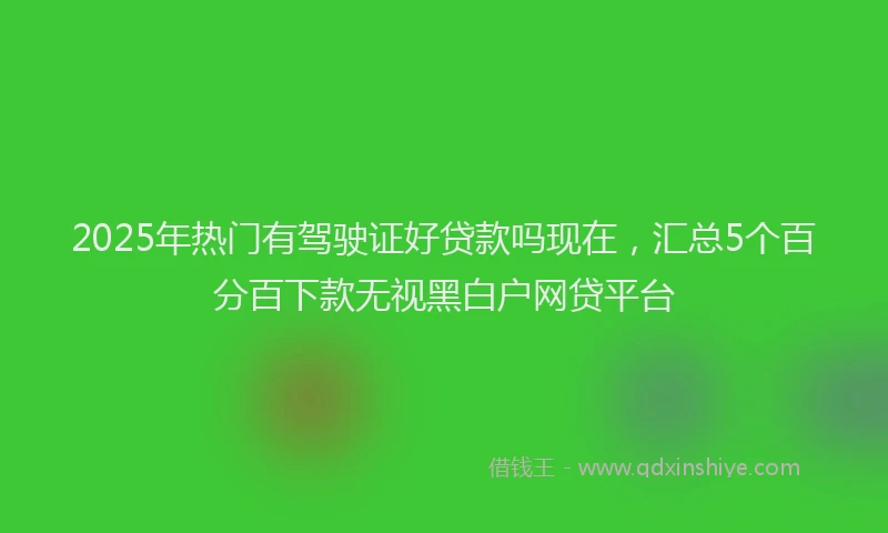 2025年热门有驾驶证好贷款吗现在，汇总5个百分百下款无视黑白户网贷平台