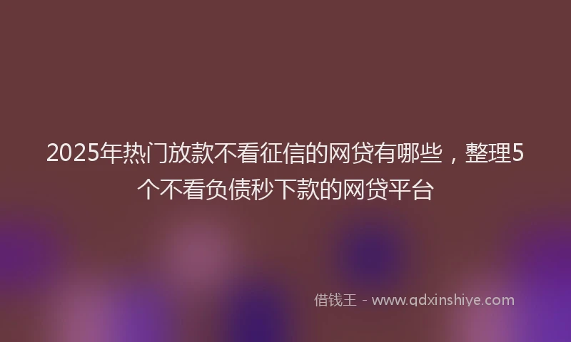 2025年热门放款不看征信的网贷有哪些，整理5个不看负债秒下款的网贷平台