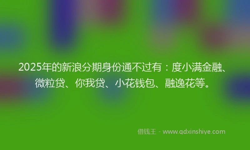 2025年的新浪分期身份通不过有：度小满金融、微粒贷、你我贷、小花钱包、融逸花等。