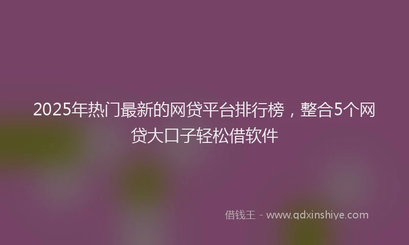 2025年热门最新的网贷平台排行榜，整合5个网贷大口子轻松借软件
