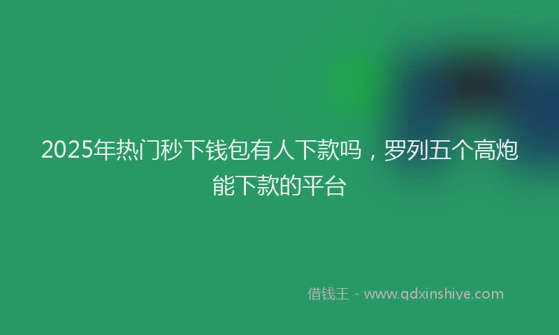 2025年热门秒下钱包有人下款吗，罗列五个高炮能下款的平台