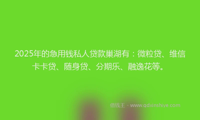 2025年的急用钱私人贷款巢湖有：微粒贷、维信卡卡贷、随身贷、分期乐、融逸花等。