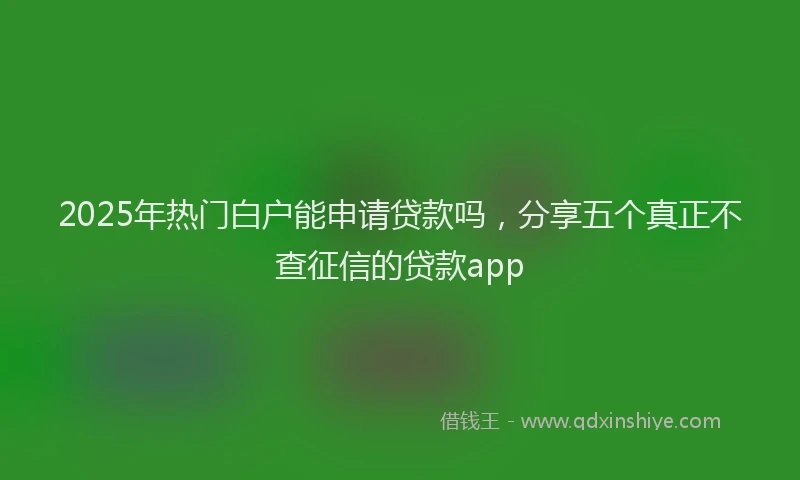 2025年热门白户能申请贷款吗，分享五个真正不查征信的贷款app