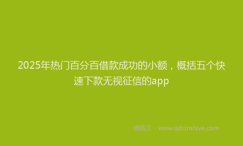 2025年热门百分百借款成功的小额，概括五个快速下款无视征信的app
