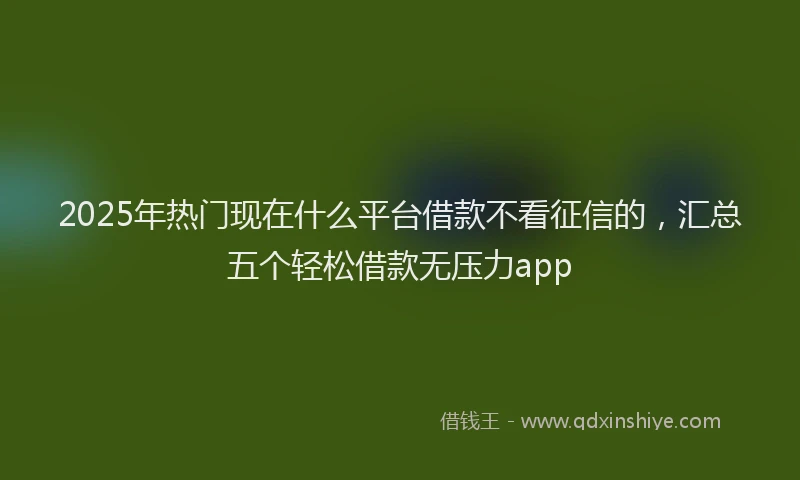 2025年热门现在什么平台借款不看征信的，汇总五个轻松借款无压力app