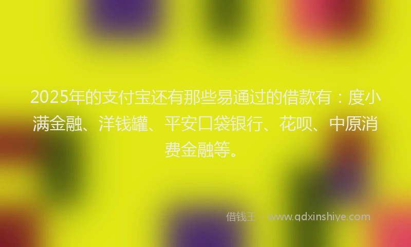 2025年的支付宝还有那些易通过的借款有：度小满金融、洋钱罐、平安口袋银行、花呗、中原消费金融等。