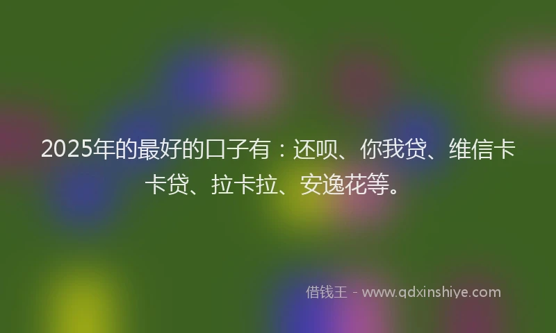 2025年的最好的口子有：还呗、你我贷、维信卡卡贷、拉卡拉、安逸花等。