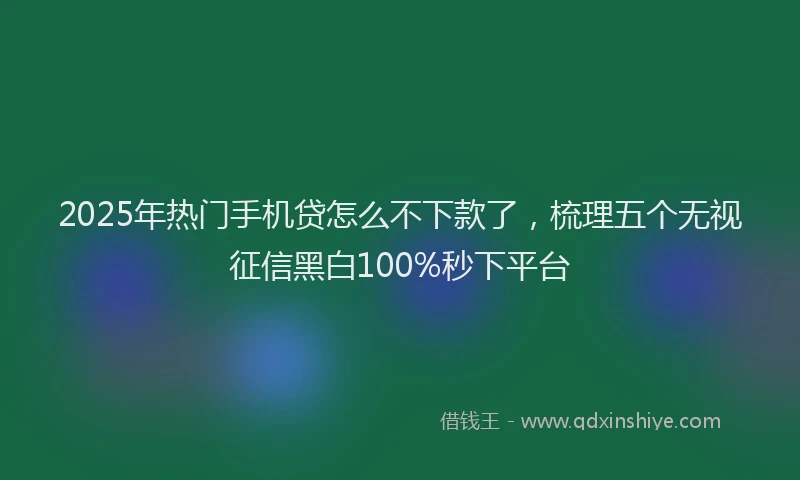 2025年热门手机贷怎么不下款了，梳理五个无视征信黑白100%秒下平台