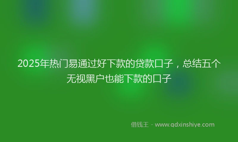 2025年热门易通过好下款的贷款口子，总结五个无视黑户也能下款的口子