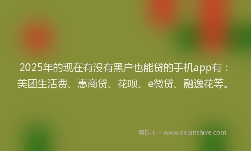 2025年的现在有没有黑户也能贷的手机app有：美团生活费、惠商贷、花呗、e微贷、融逸花等。
